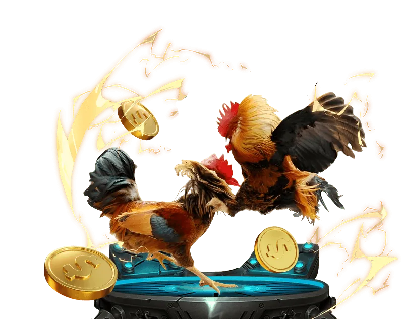 Quy trình thu thập thông tin người dùng tại kèo nhà cái 88.com